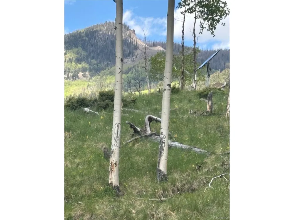 1113 Spring Street Jasper, CO 81144