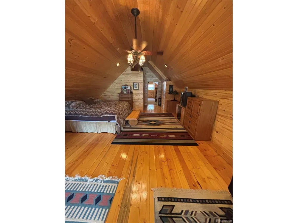 1113 Spring Street Jasper, CO 81144