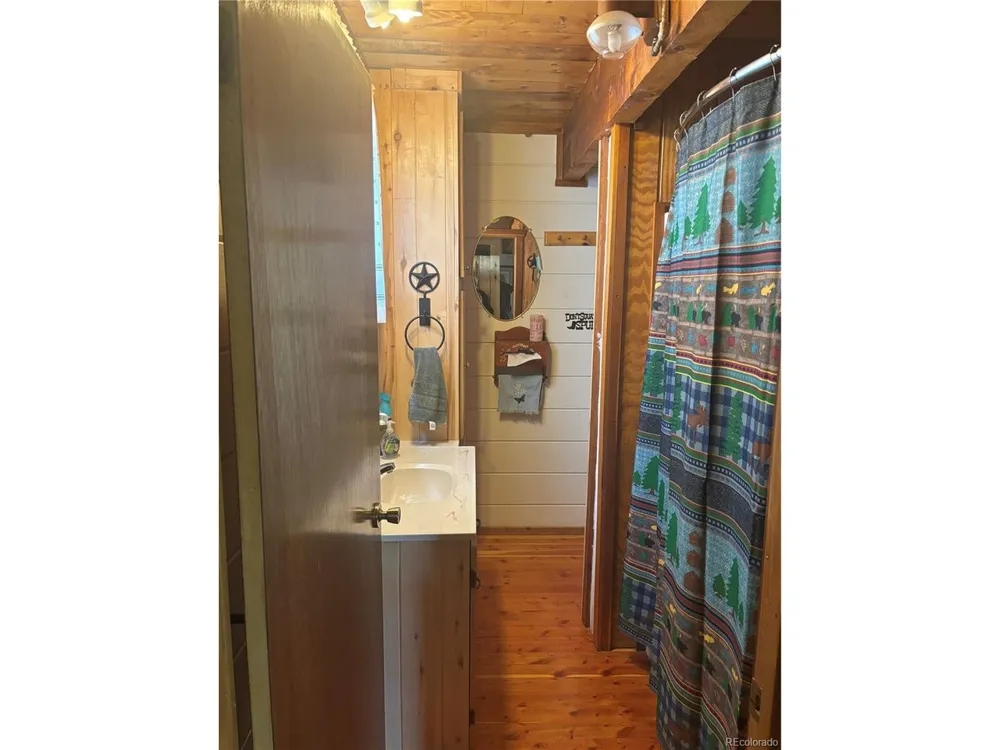 1113 Spring Street Jasper, CO 81144