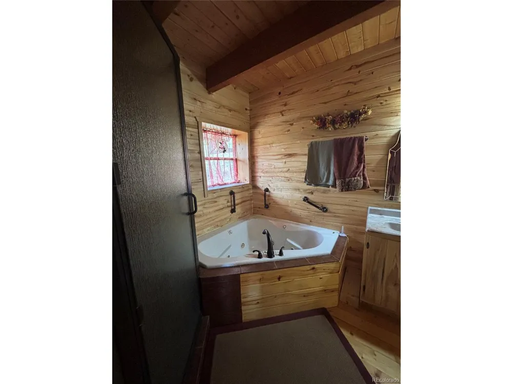 1113 Spring Street Jasper, CO 81144
