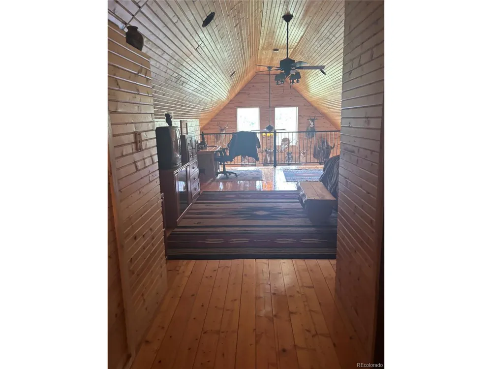 1113 Spring Street Jasper, CO 81144