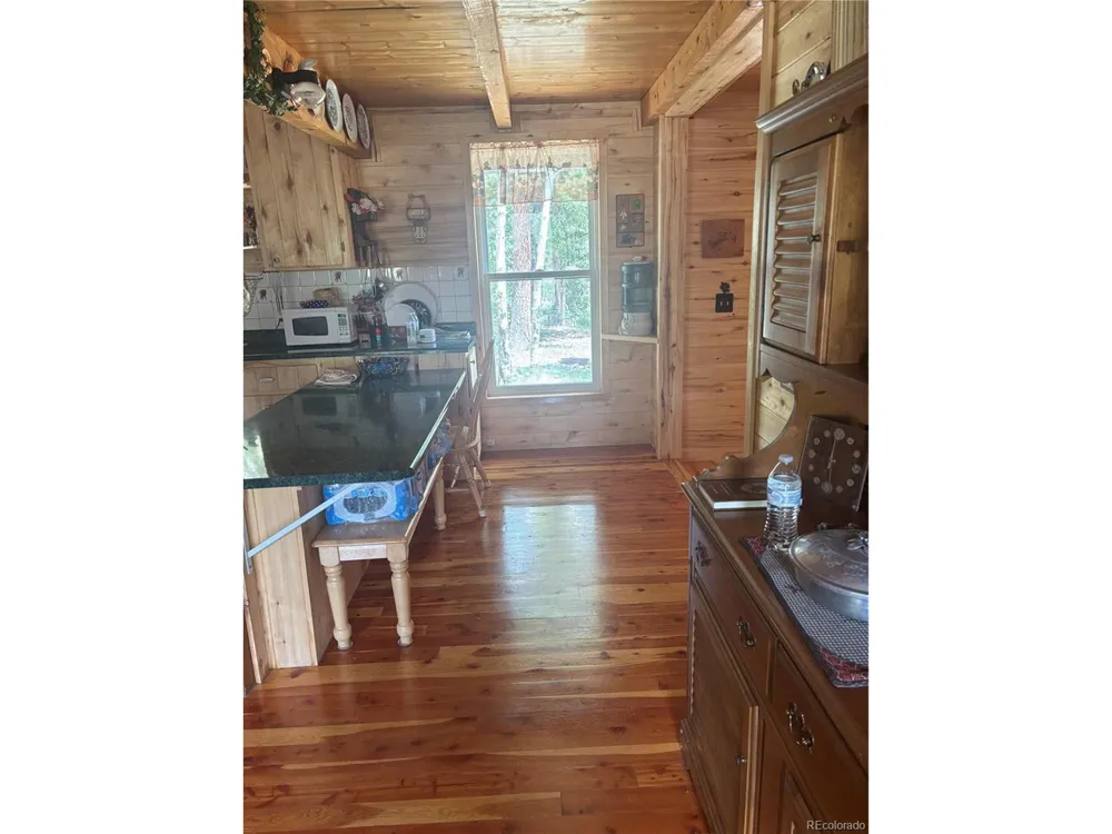 1113 Spring Street Jasper, CO 81144