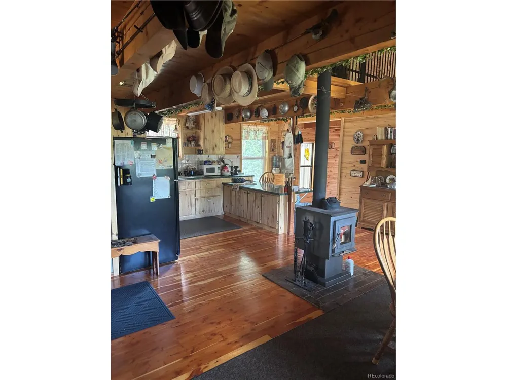 1113 Spring Street Jasper, CO 81144