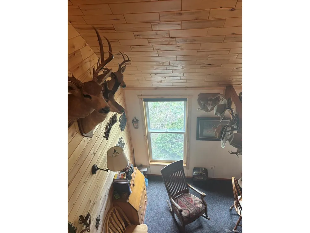 1113 Spring Street Jasper, CO 81144