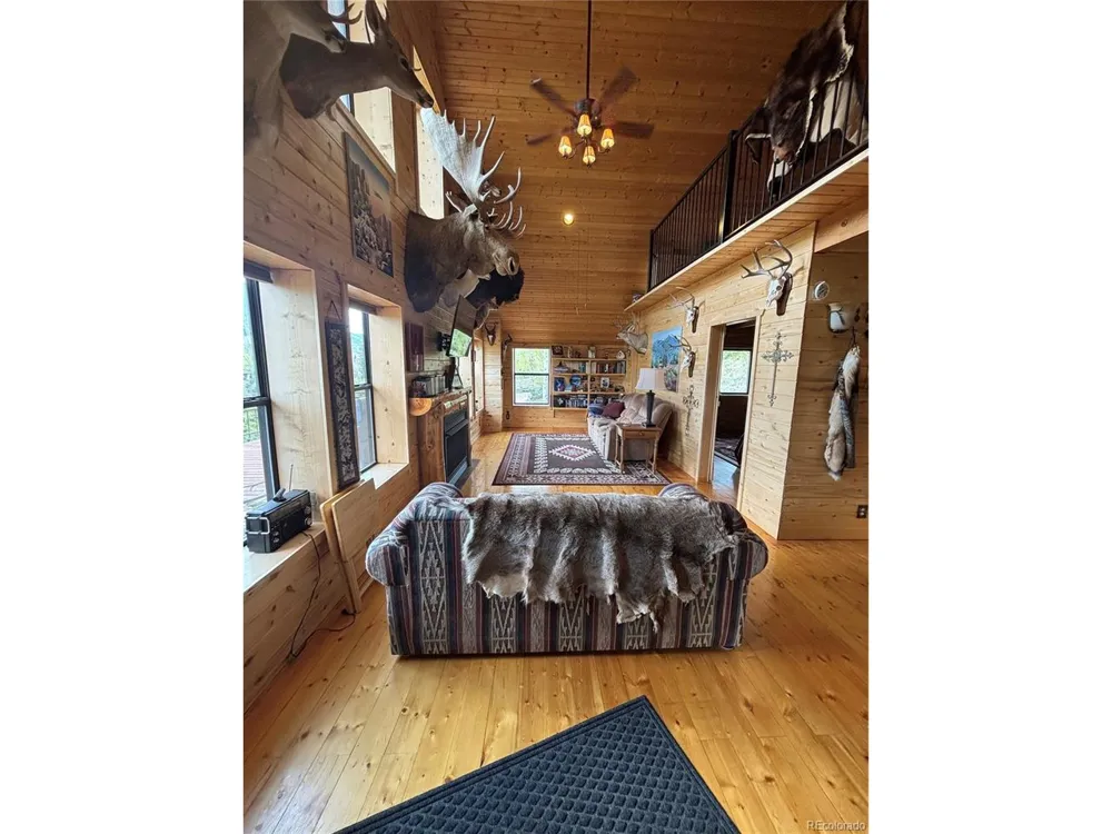 1113 Spring Street Jasper, CO 81144