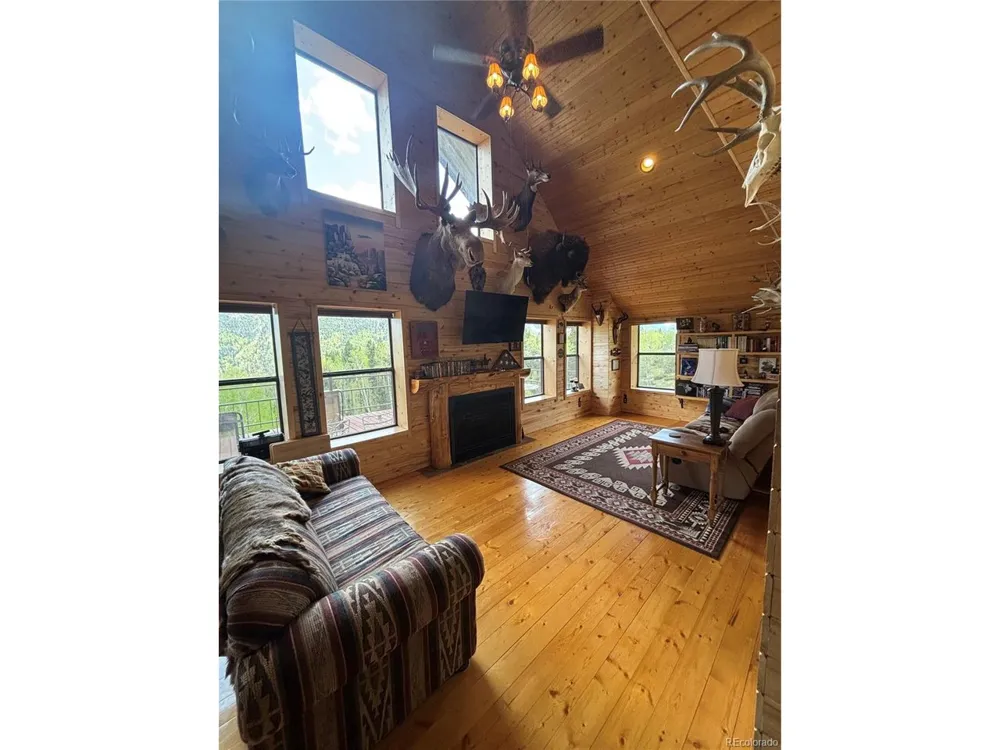1113 Spring Street Jasper, CO 81144