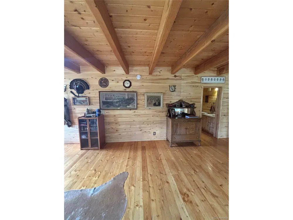 1113 Spring Street Jasper, CO 81144
