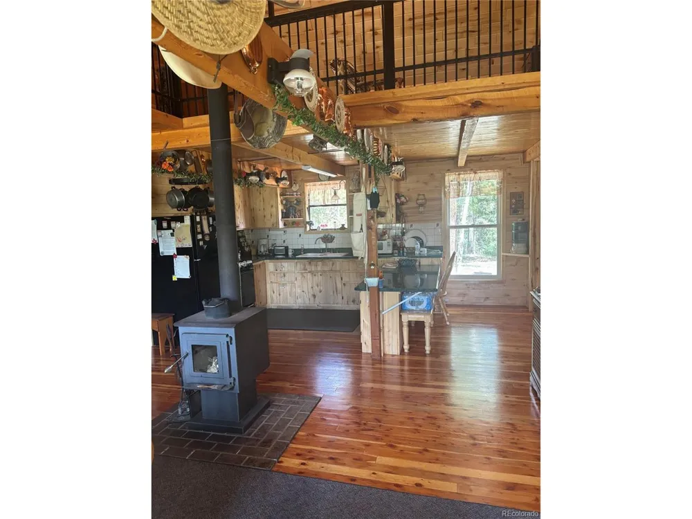 1113 Spring Street Jasper, CO 81144