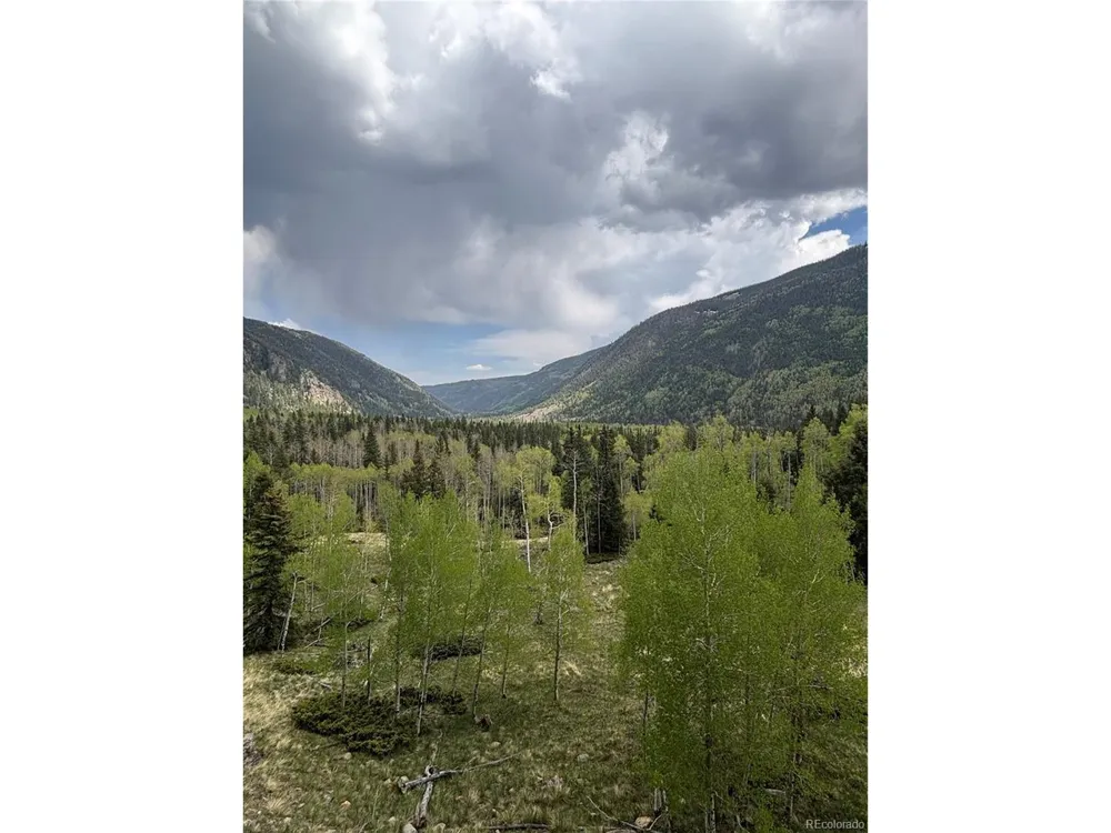 1113 Spring Street Jasper, CO 81144