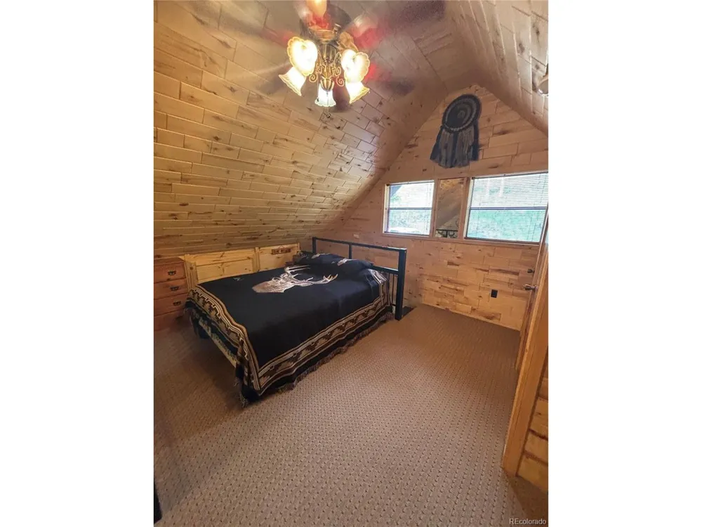 1113 Spring Street Jasper, CO 81144