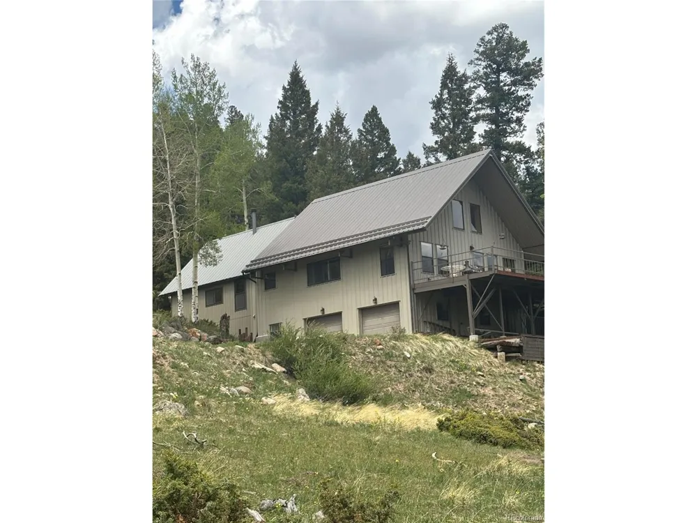 1113 Spring Street Jasper, CO 81144