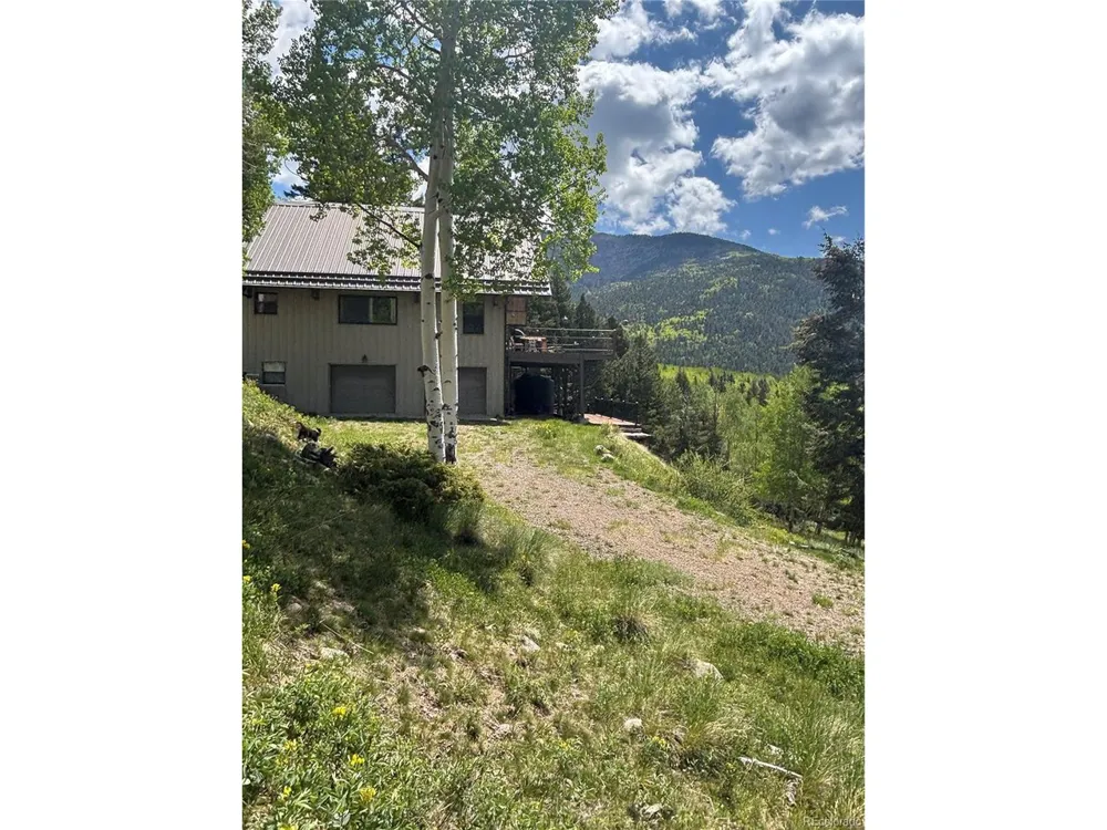 1113 Spring Street Jasper, CO 81144