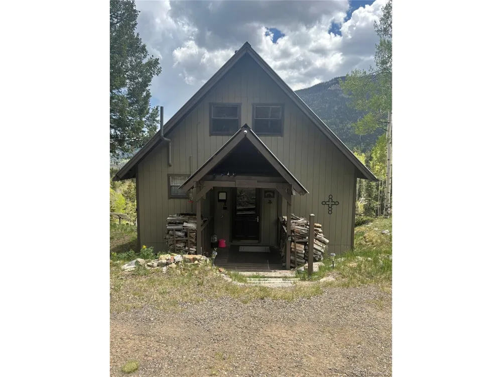 1113 Spring Street Jasper, CO 81144