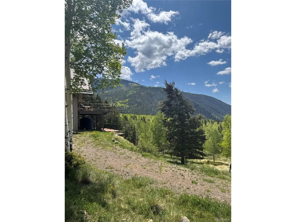 1113 Spring Street Jasper, CO 81144
