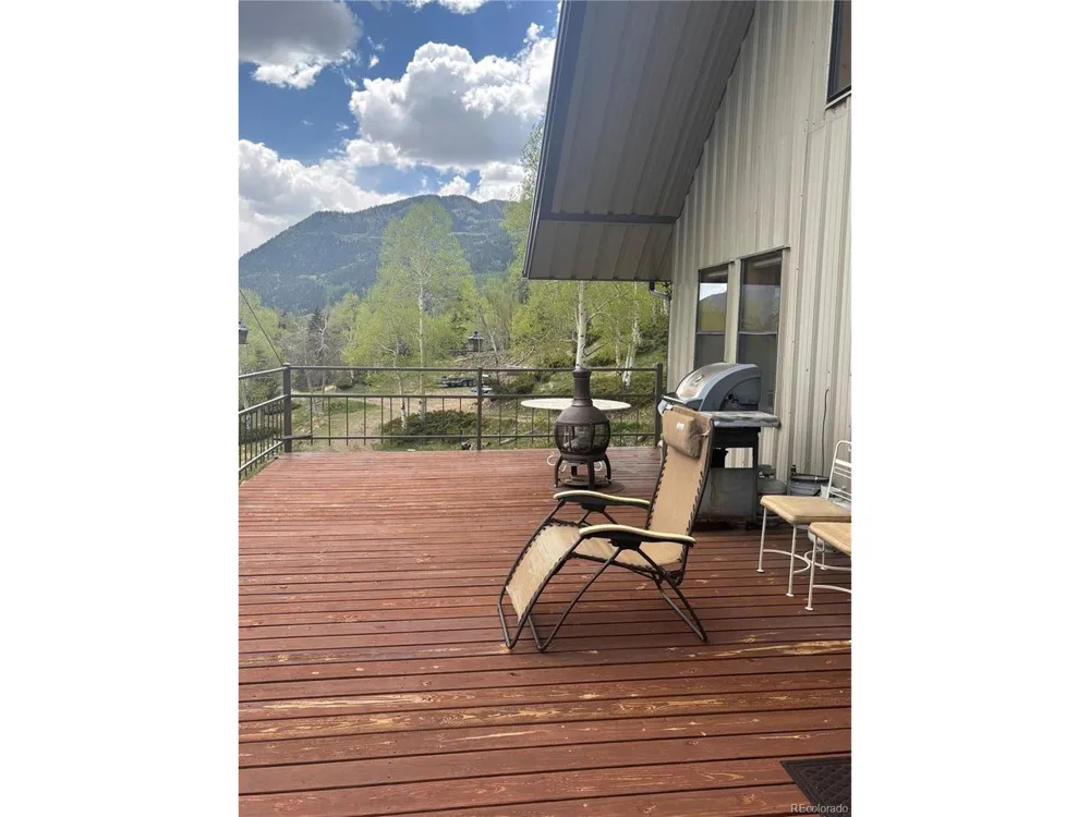 1113 Spring Street Jasper, CO 81144