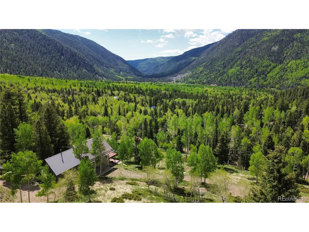 1113 Spring Street Jasper, CO 81144