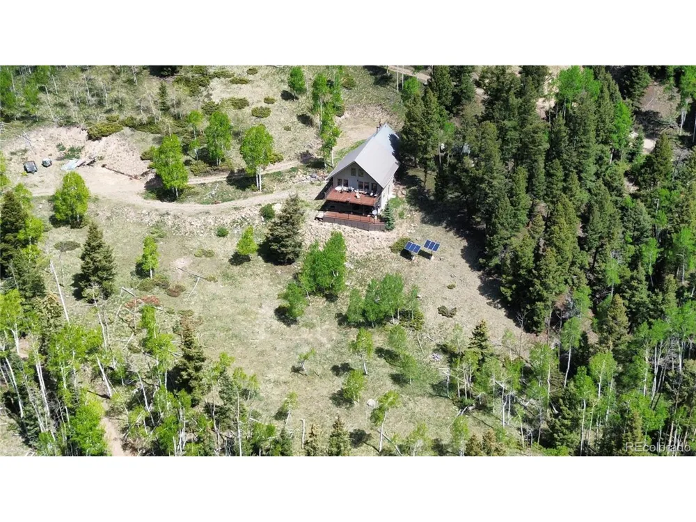 1113 Spring Street Jasper, CO 81144