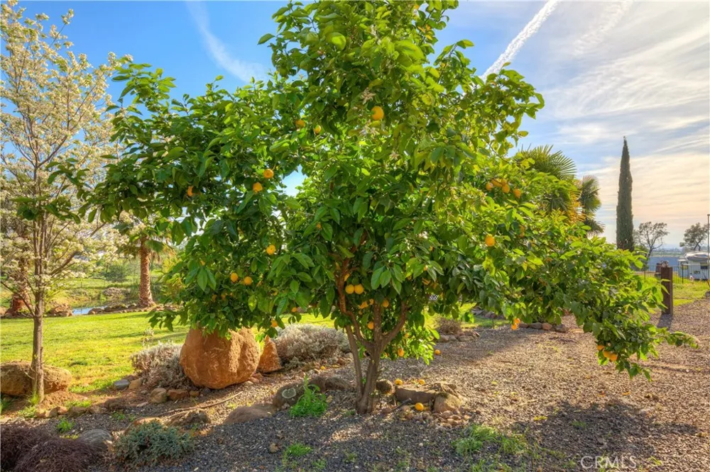 3929 Pardes Way Paradise, CA 95969