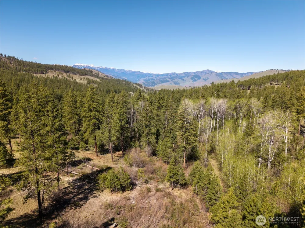 19 Stagecoach Road Carlton, WA 98814