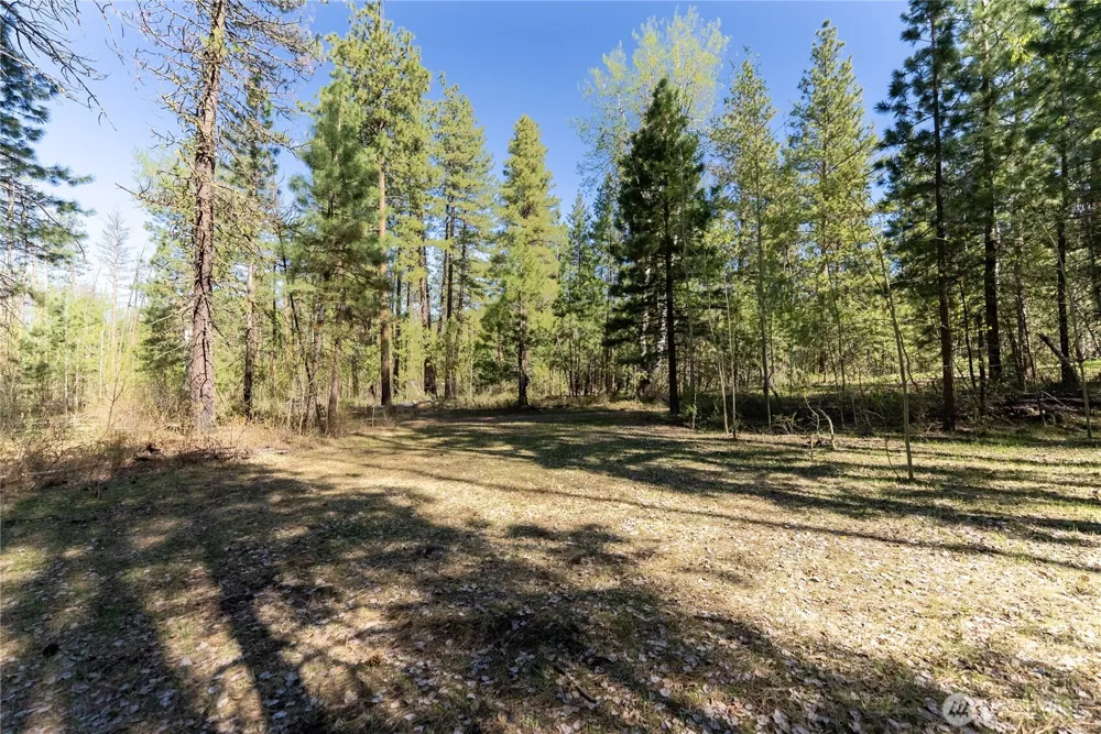 19 Stagecoach Road Carlton, WA 98814