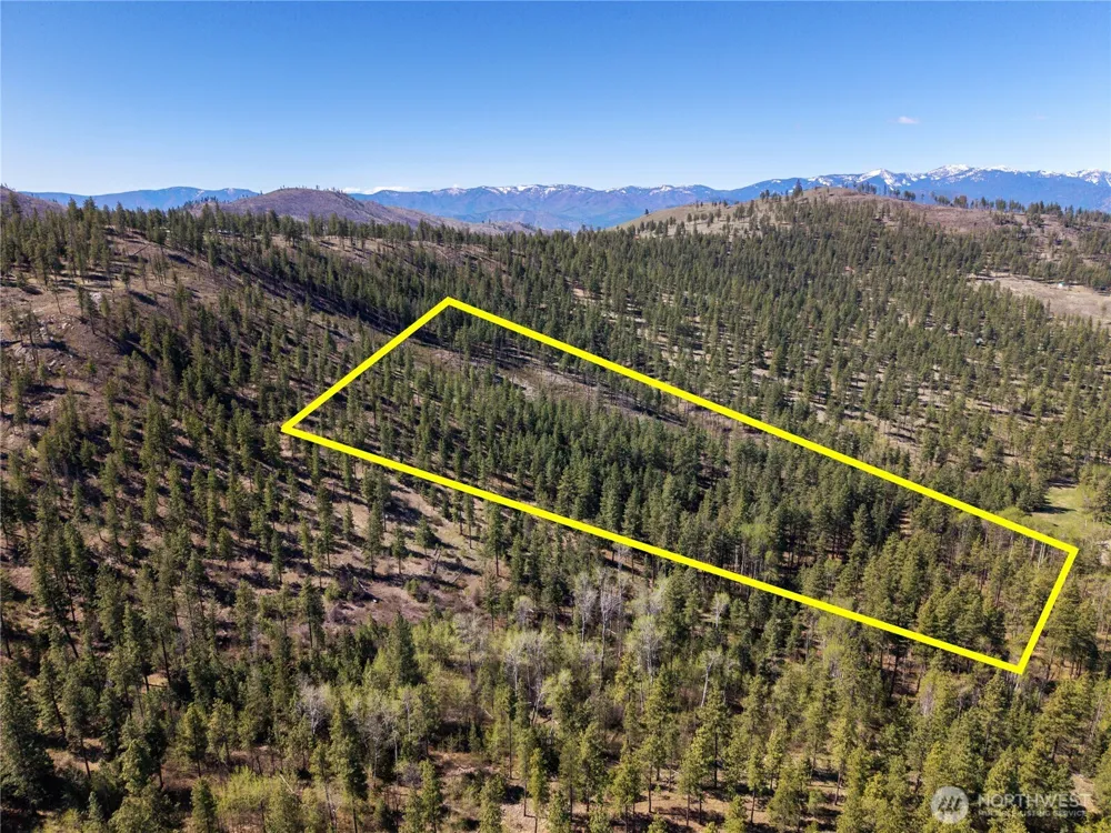 19 Stagecoach Road Carlton, WA 98814