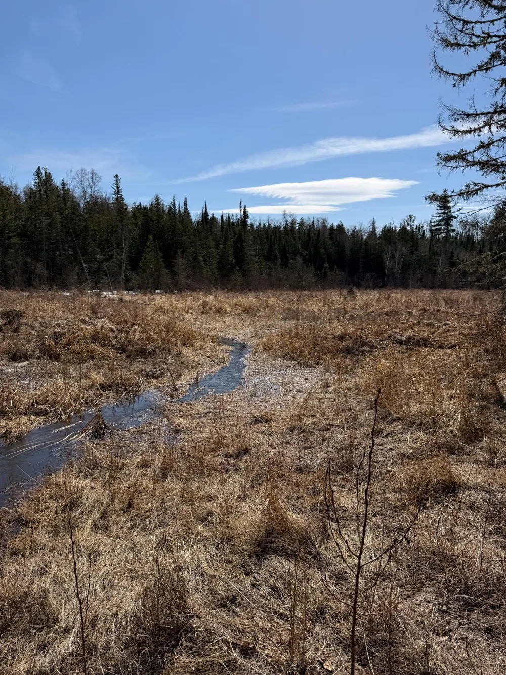 96xx Gappa Road Kabetogama, MN 56669