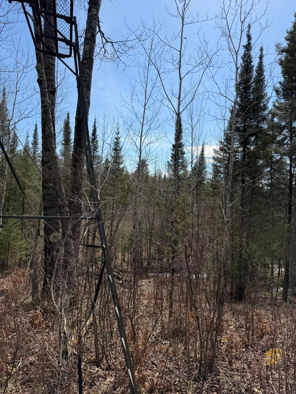 96xx Gappa Road Kabetogama, MN 56669