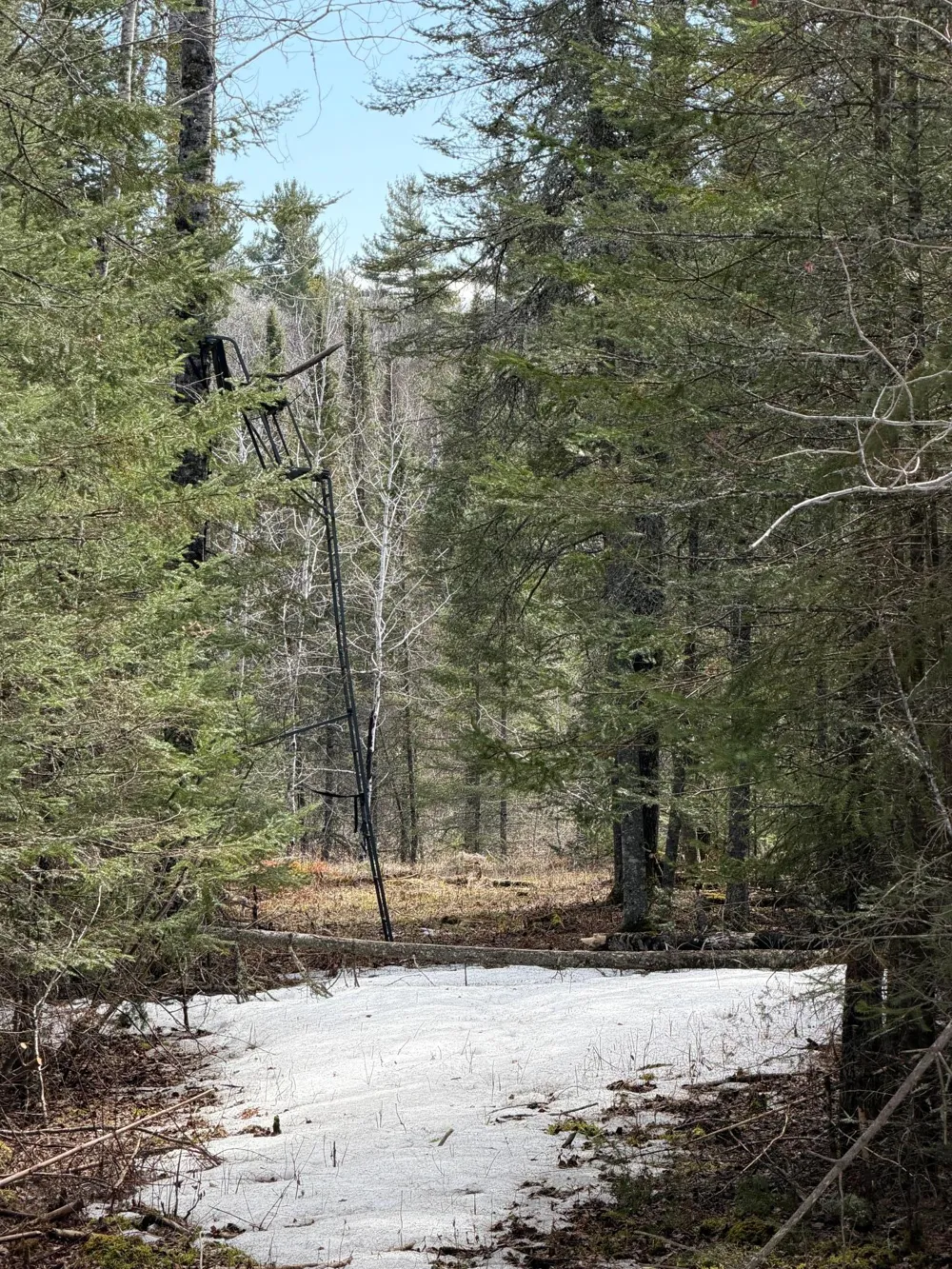 96xx Gappa Road Kabetogama, MN 56669
