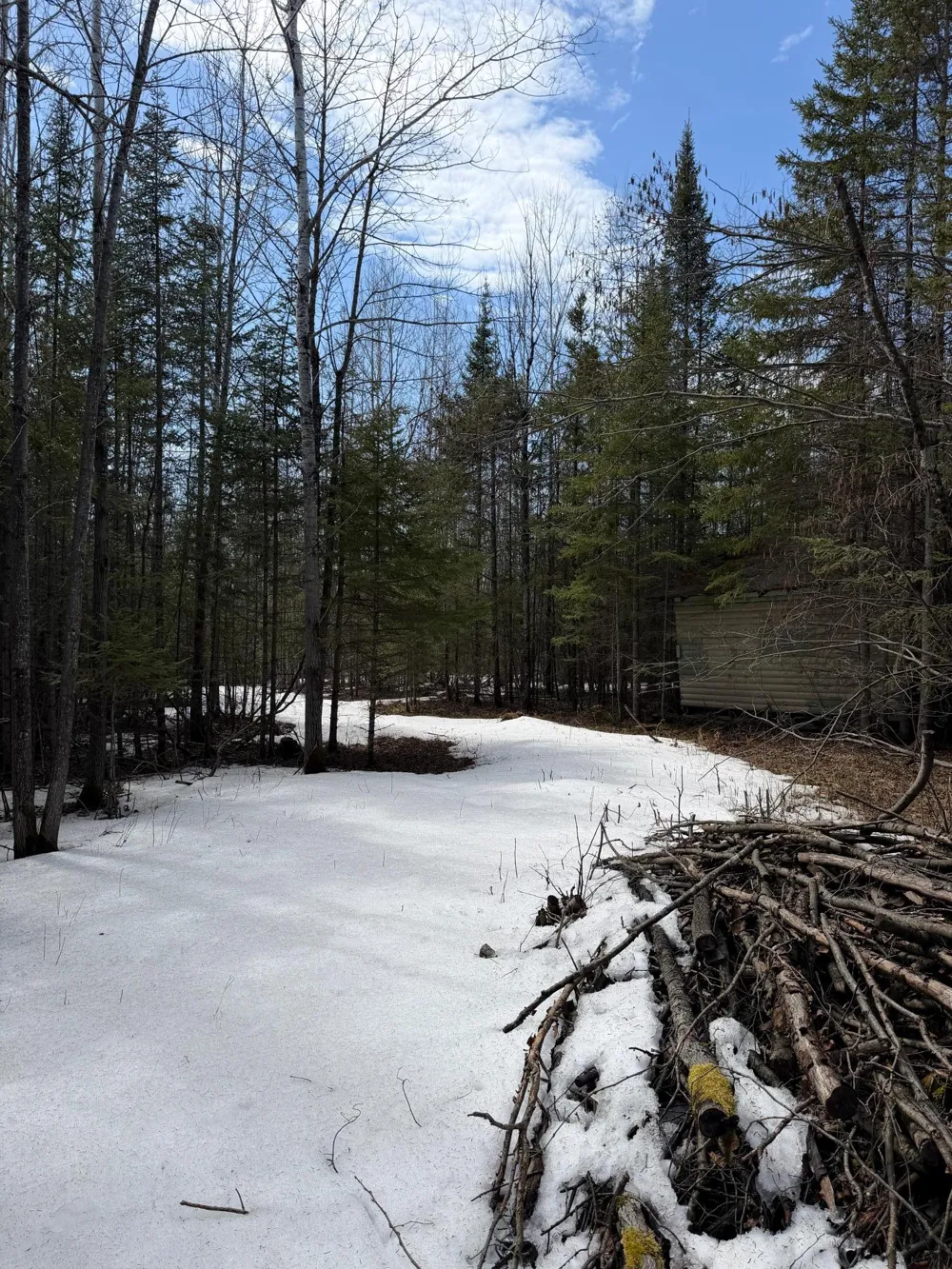 96xx Gappa Road Kabetogama, MN 56669