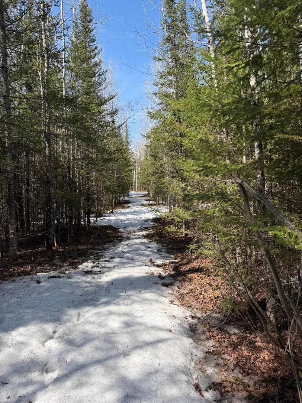 96xx Gappa Road Kabetogama, MN 56669
