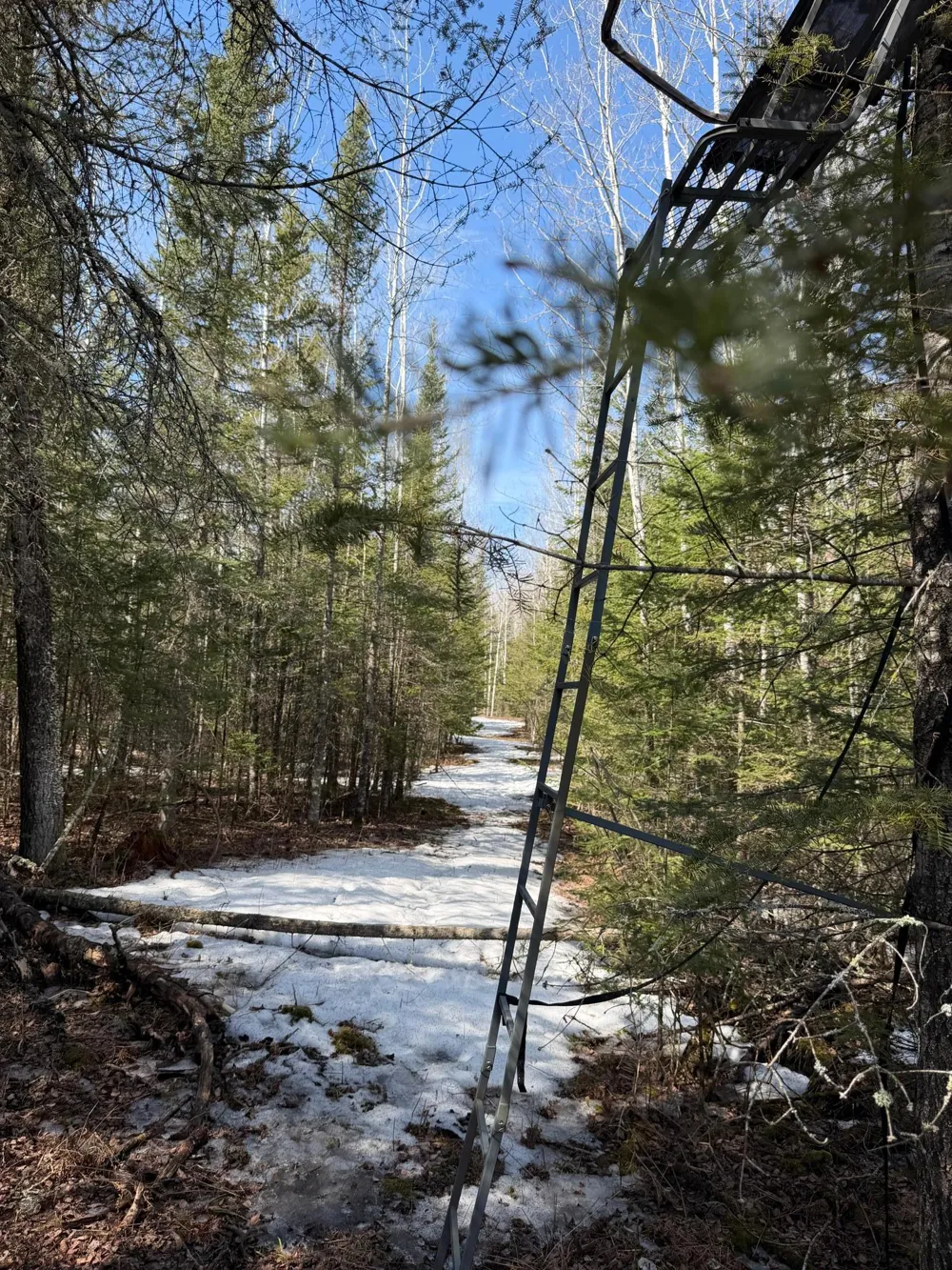 96xx Gappa Road Kabetogama, MN 56669
