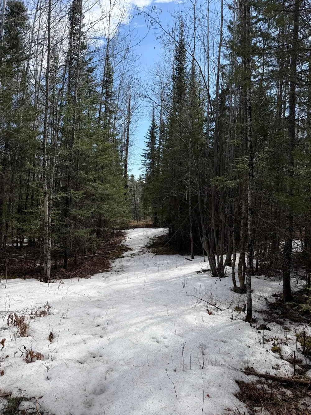 96xx Gappa Road Kabetogama, MN 56669