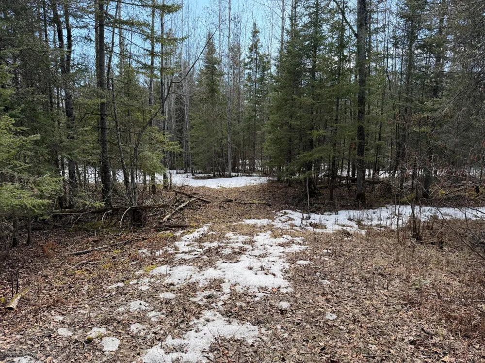 96xx Gappa Road Kabetogama, MN 56669