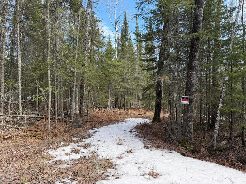 96xx Gappa Road Kabetogama, MN 56669