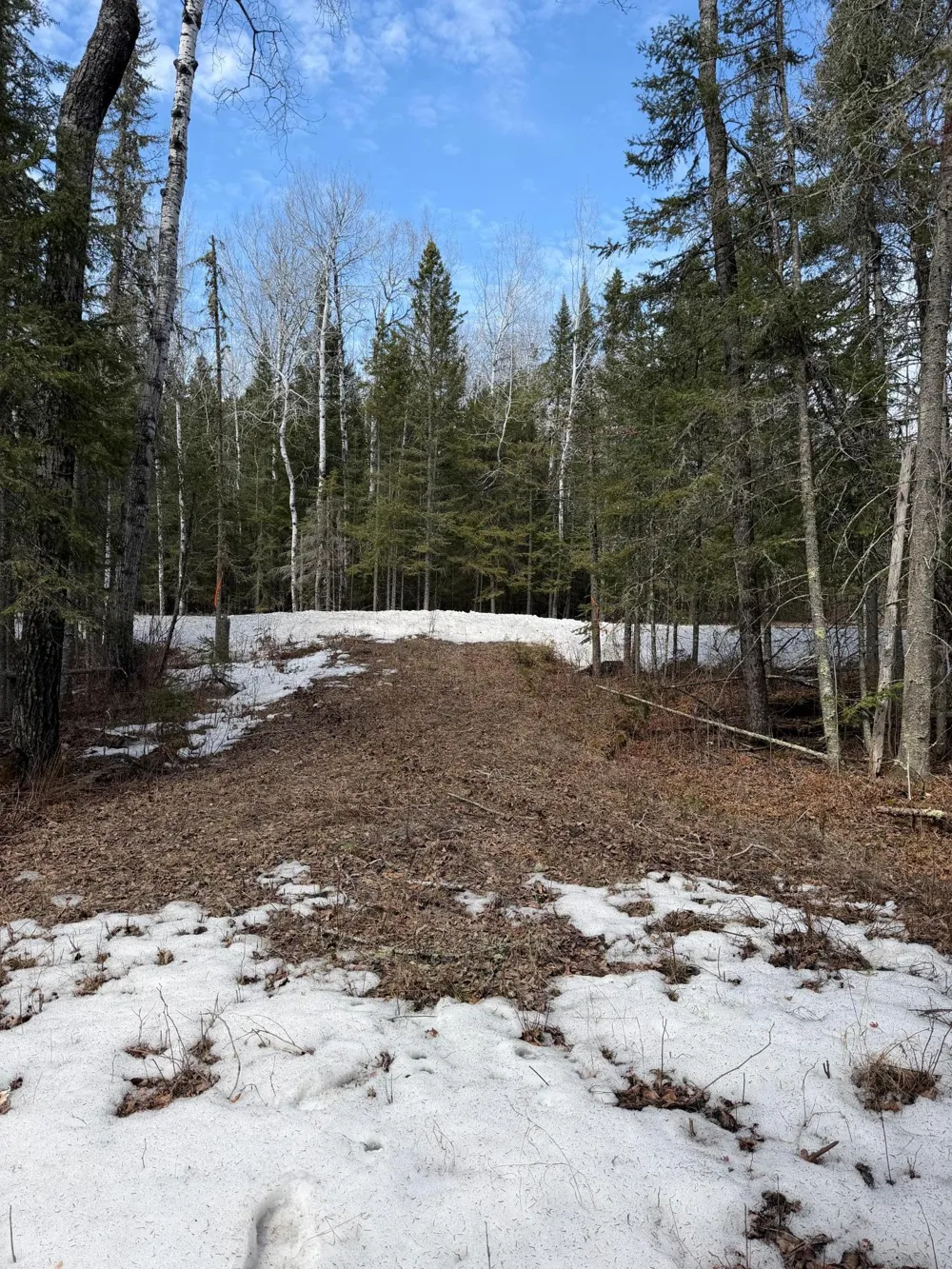 96xx Gappa Road Kabetogama, MN 56669