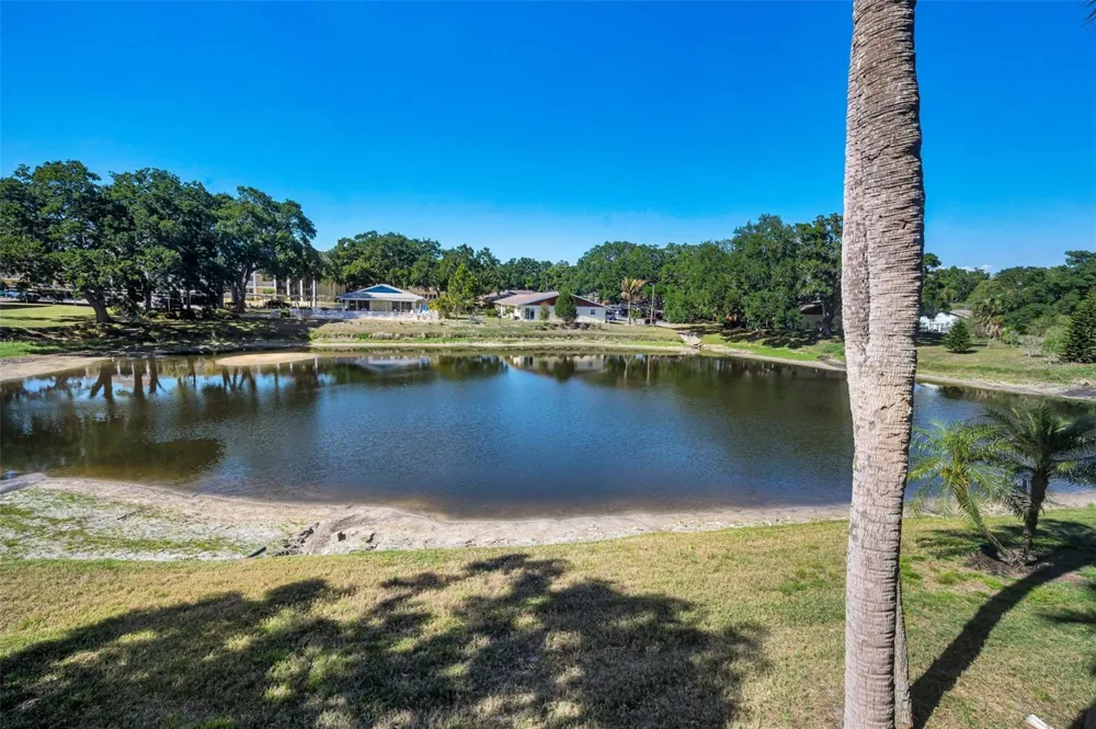 936 VIRGINIA STREET #201 Dunedin, FL 34698