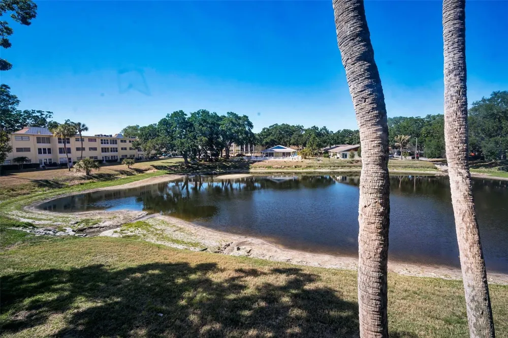 936 VIRGINIA STREET #201 Dunedin, FL 34698