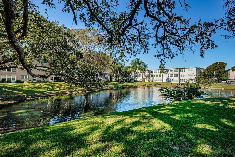 936 VIRGINIA STREET #201 Dunedin, FL 34698