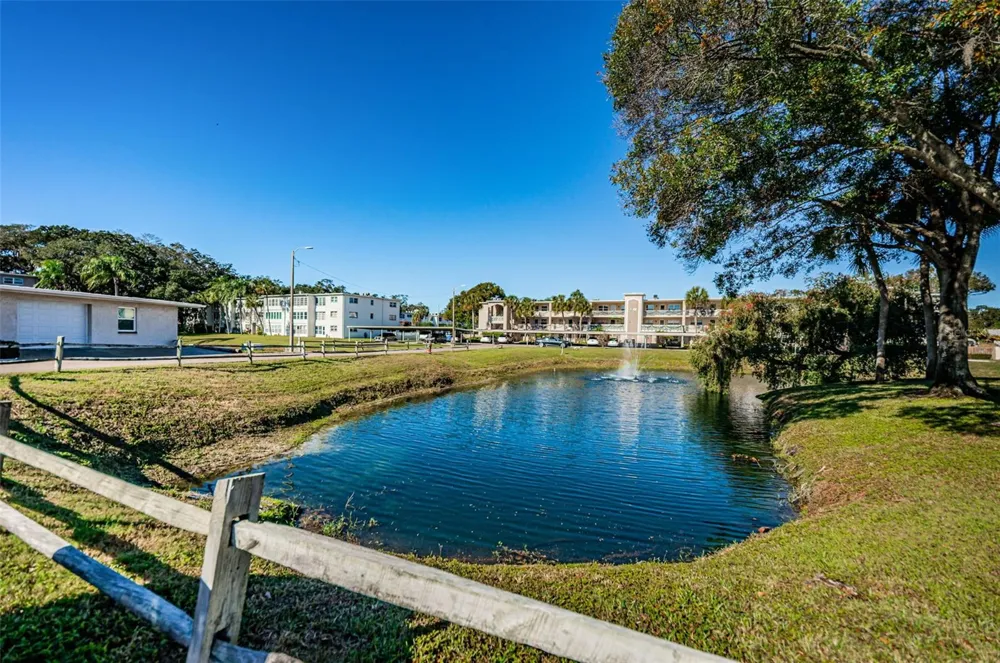 936 VIRGINIA STREET #201 Dunedin, FL 34698