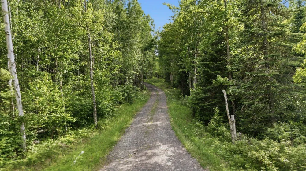 8335 Boulder Ridge Drive Cook, MN 55723