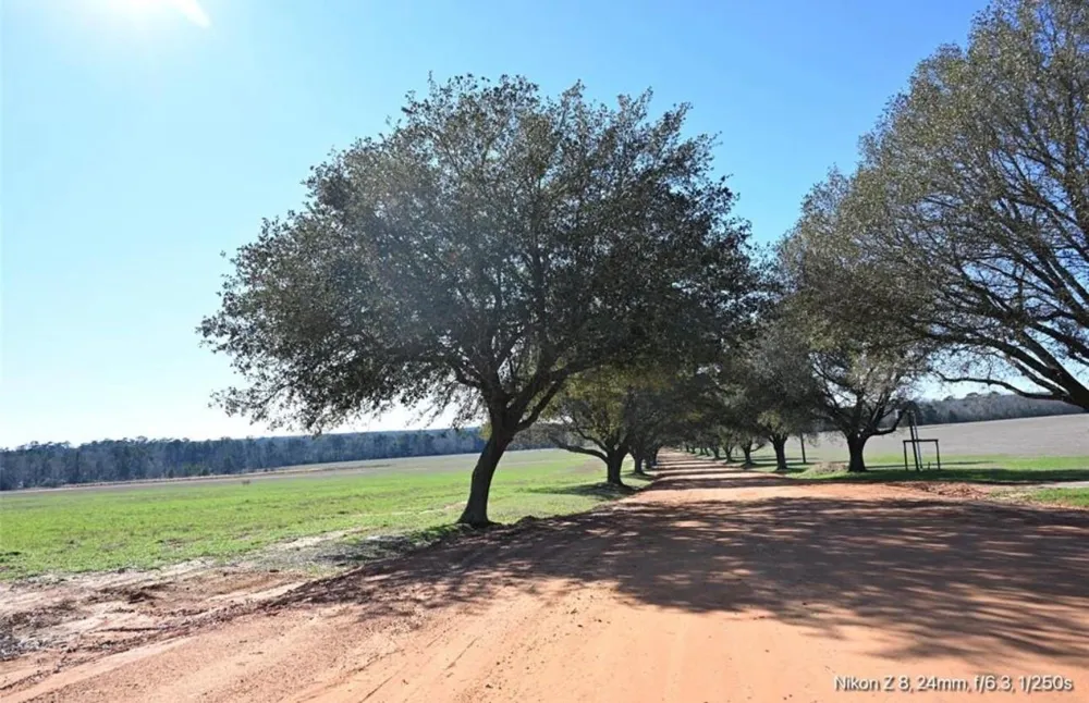 503 S Green Valley Woodville, TX 75979