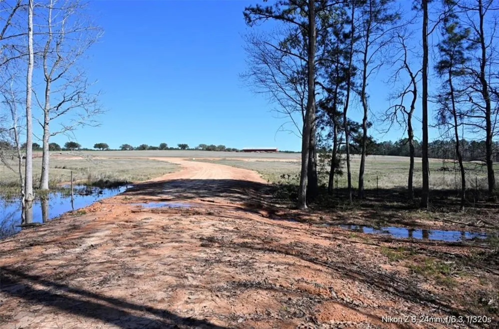 503 S Green Valley Woodville, TX 75979