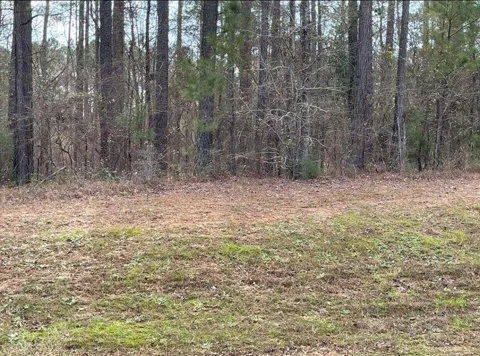 63 Eutaw Springs Trail