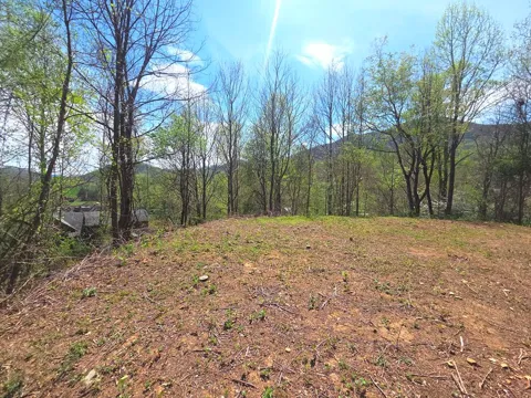 Turtle Rock Ln Lt 6