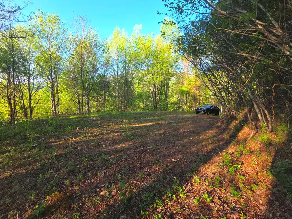 Turtle Rock Ln Lt 6 Waynesville, NC 28785