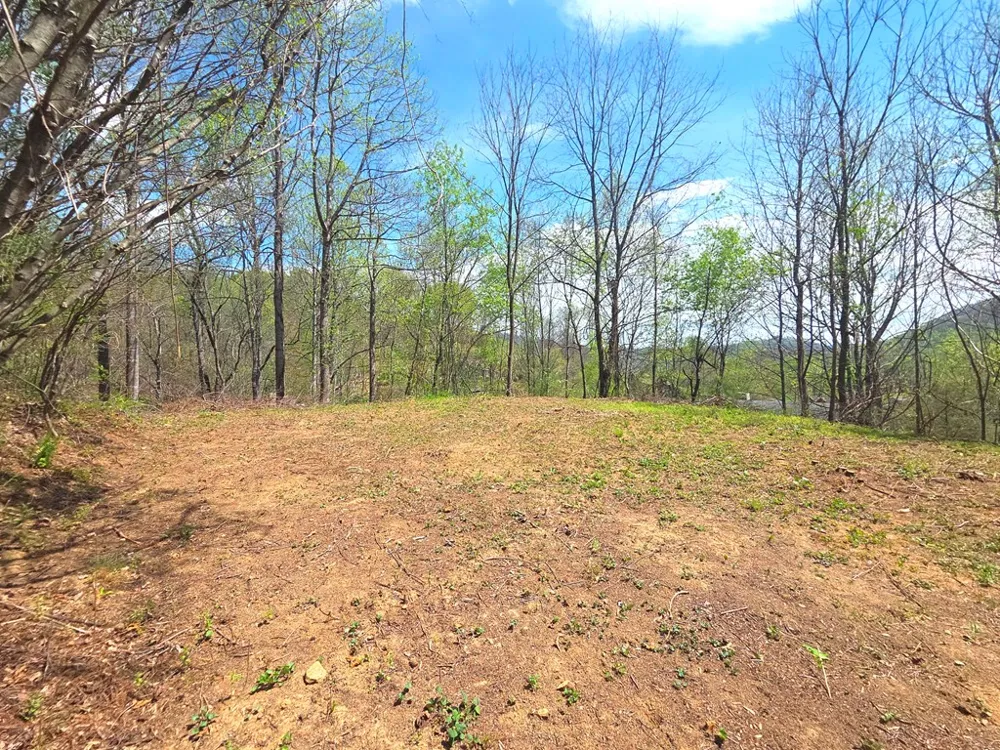 Turtle Rock Ln Lt 6 Waynesville, NC 28785