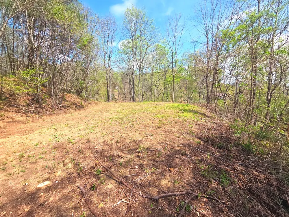 Turtle Rock Ln Lt 6 Waynesville, NC 28785