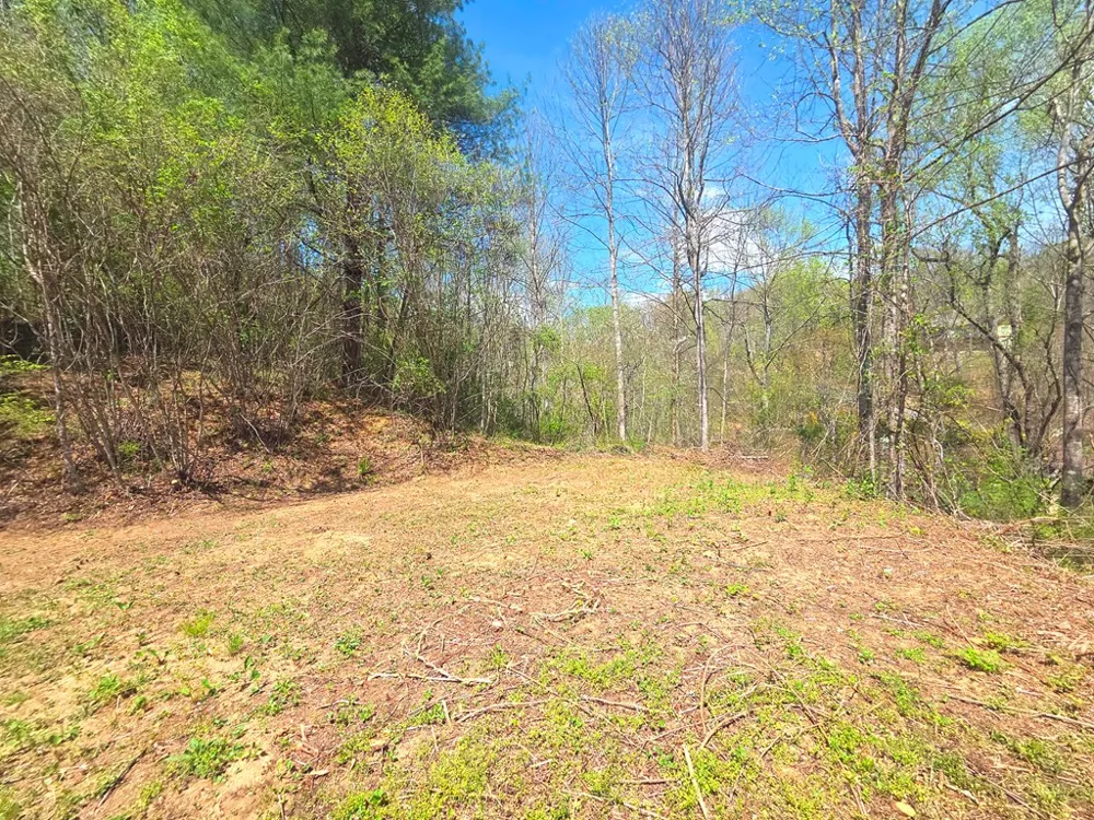 Turtle Rock Ln Lt 6 Waynesville, NC 28785