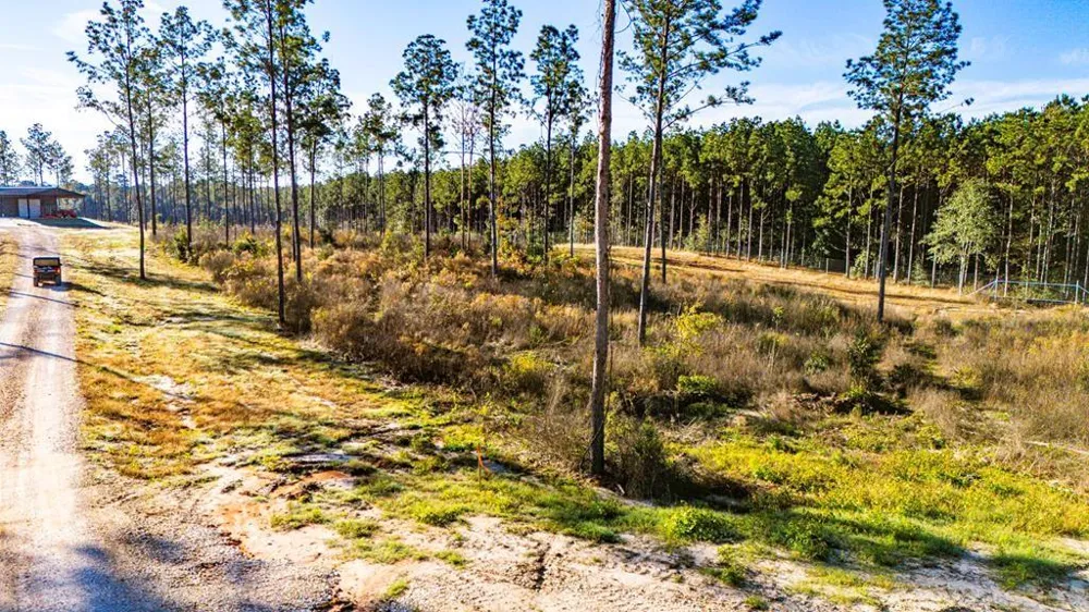 2 Black Buck Drive Moscow, TX 75960