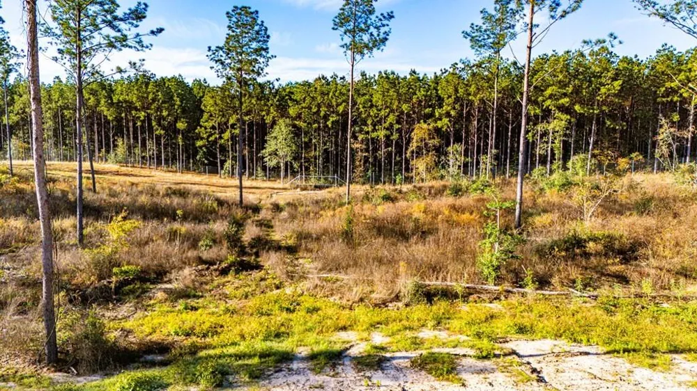 2 Black Buck Drive Moscow, TX 75960